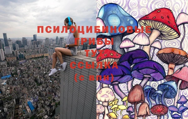 индика Бронницы
