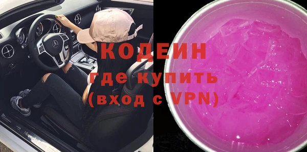 индика Бронницы
