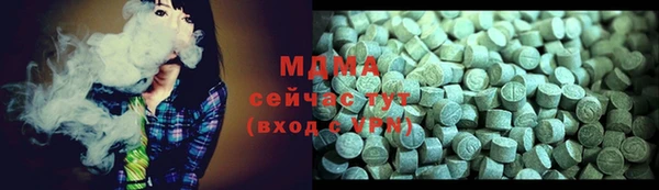 индика Бронницы