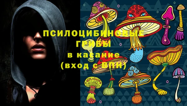 а пвп мука Бородино