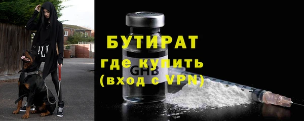 индика Бронницы
