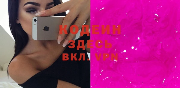 индика Бронницы