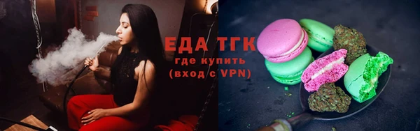 индика Бронницы