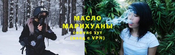 индика Бронницы