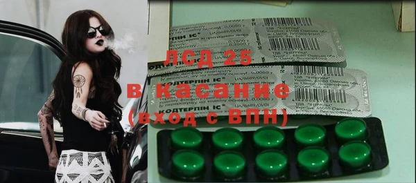 индика Бронницы