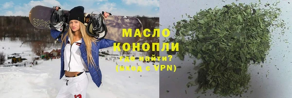 индика Бронницы
