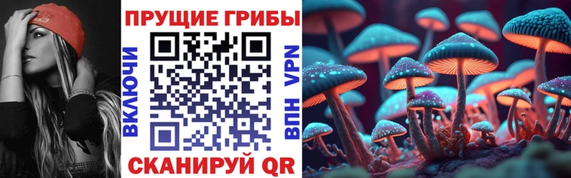 Псилоцибиновые грибы Magic Shrooms  Оренбург 